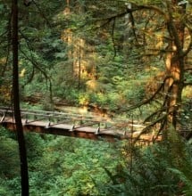 Prairie Creek Redwoods SP