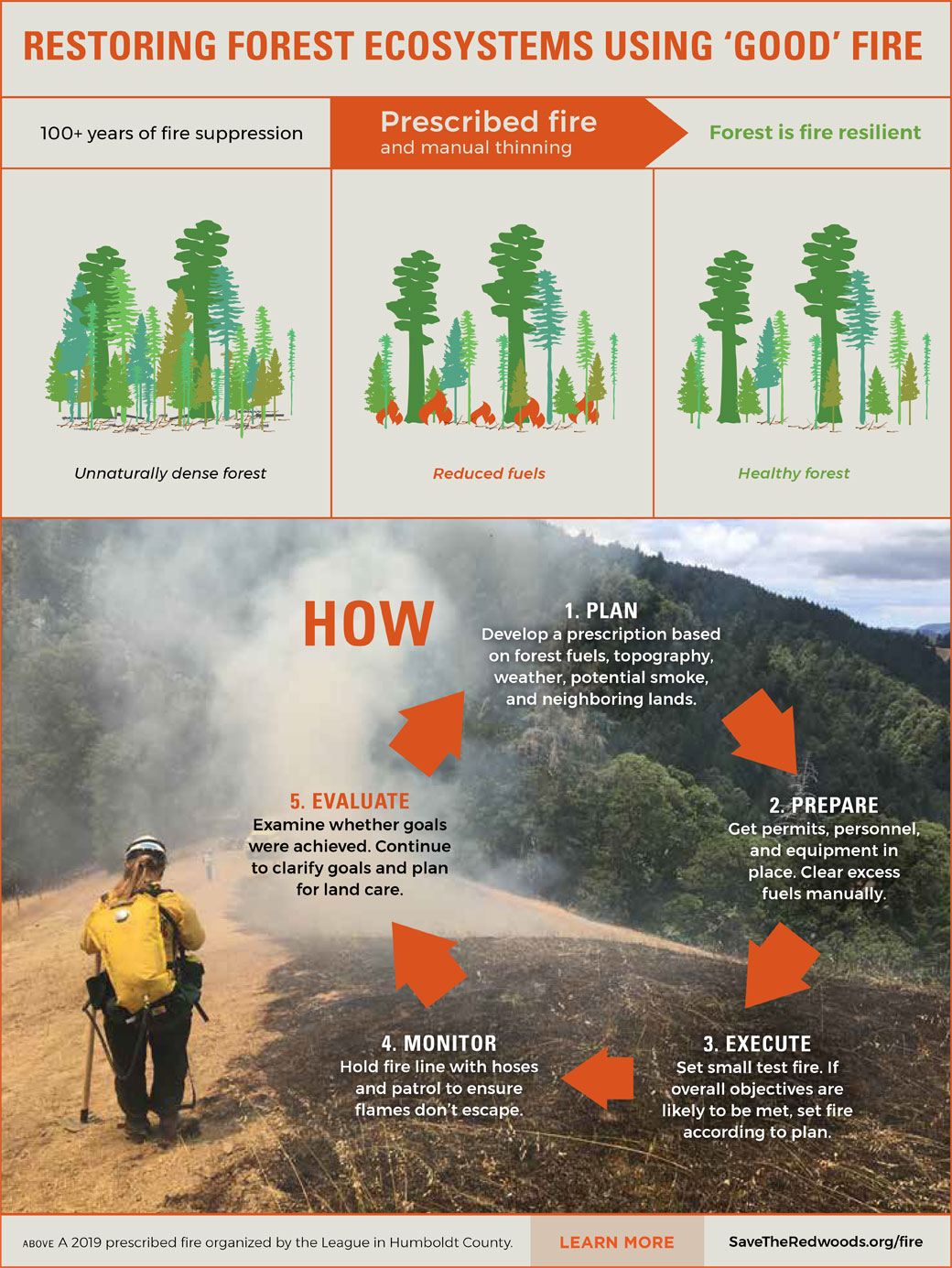 Why are prescribed fires a major tool for preventing forest blazes