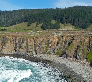The League currently manages this 871-acre parcel at Stewarts Point as a working model of forest stewardship.