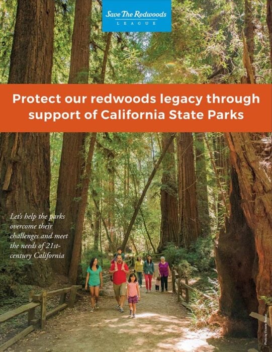 Protect Redwoods Legacy publication cover