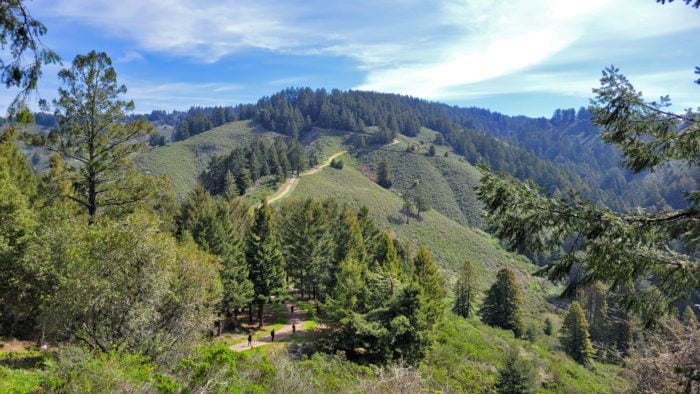 Panoramic view of Purisima Creek Redwoods