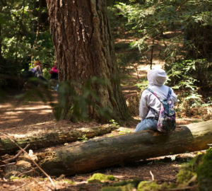 Student sitting on fallen trunk