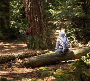 The redwood forest inspires the students in our Redwoods and Climate Change High School Program.