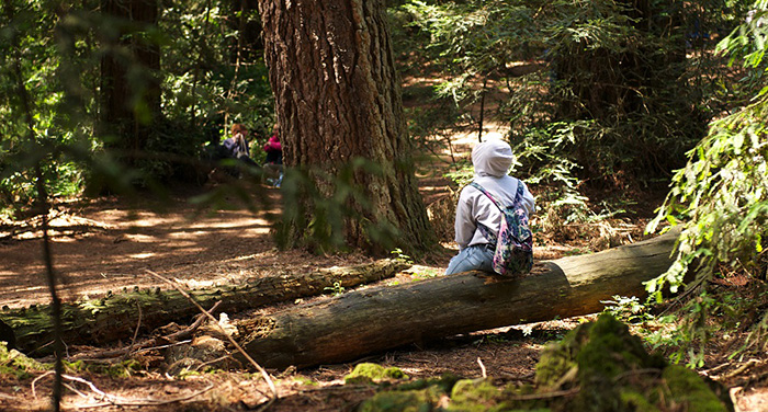 The redwood forest inspires the students in our Redwoods and Climate Change High School Program.