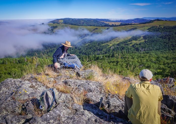 Redwoods Rising Botany Apprentices take a break at an overlook of Redwood Creek in the Bald Hills area of the park. Photo by Len Mazur