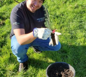 redwoods rising planting quinn