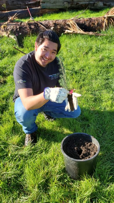 redwoods rising planting quinn