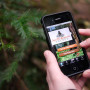 Redwood Watch app. Photo by Save the Redwoods League