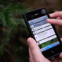 Redwood Watch app. Photo by Save the Redwoods League