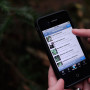 Redwood Watch app. Photo by Save the Redwoods League