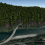 Finding the Redwood Forests of Tomorrow.