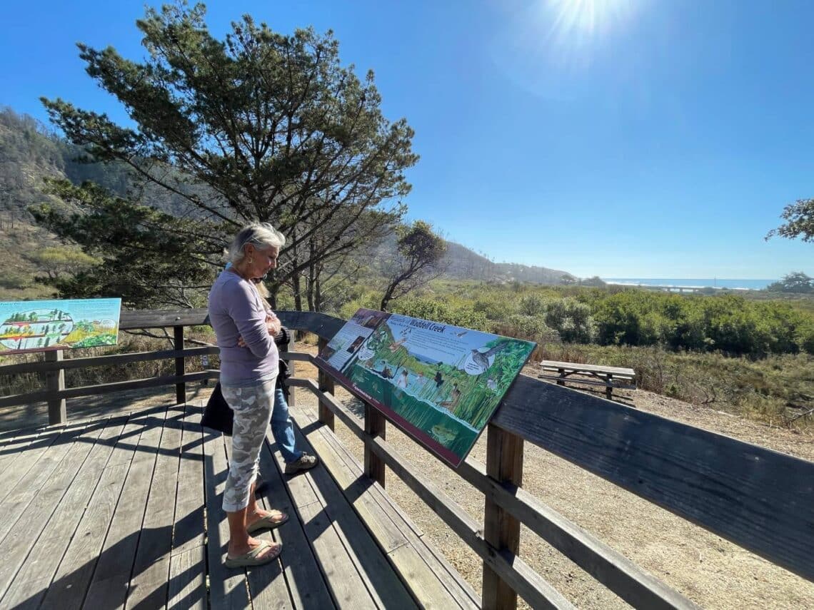 A person looks at a sign on a deck overlooking the ocean on a sunny day