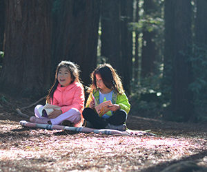 Reading the Redwoods contest for kids