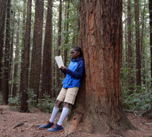 Reading the Redwoods contest. Photo by Annie Burke