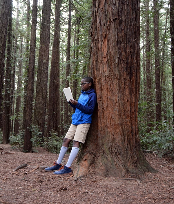 Reading the Redwoods contest. Photo by Annie Burke