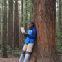 Reading the Redwoods contest. March 10 through May 10, 2018. Photo by Annie Burke