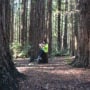 Reading the Redwoods contest. March 10 through May 10, 2018. Photo by Annie Burke