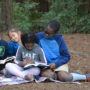 Reading the Redwoods contest. March 10 through May 10, 2018. Photo by Annie Burke