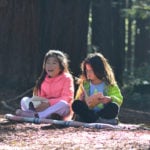 Help the kids in your life learn about redwoods and get the chance to win fantastic prizes. Photo by Annie Burke