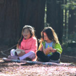 Help the kids in your life learn about redwoods and get the chance to win fantastic prizes. Photo by Annie Burke