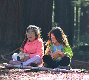 Help the kids in your life learn about redwoods and get the chance to win fantastic prizes. Photo by Annie Burke