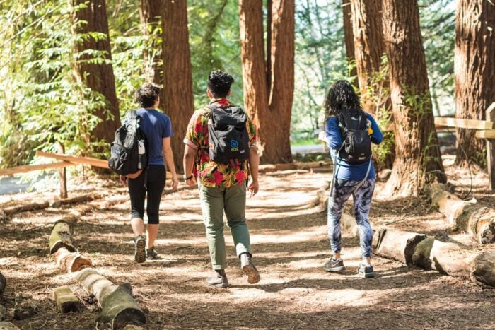 Three hikers walk down a sun dappled trail in the redwoods