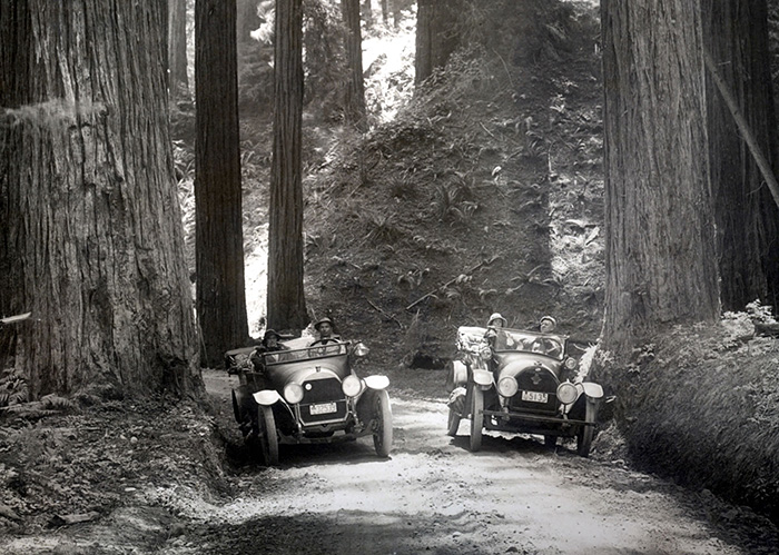 Redwoods Timeline | Save the Redwoods League