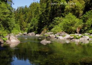 Redwood Creek, the main waterway in Redwood National Park, has excellent swimming spots upstream of the Tall Trees Grove. Photo by Mario Vaden. 