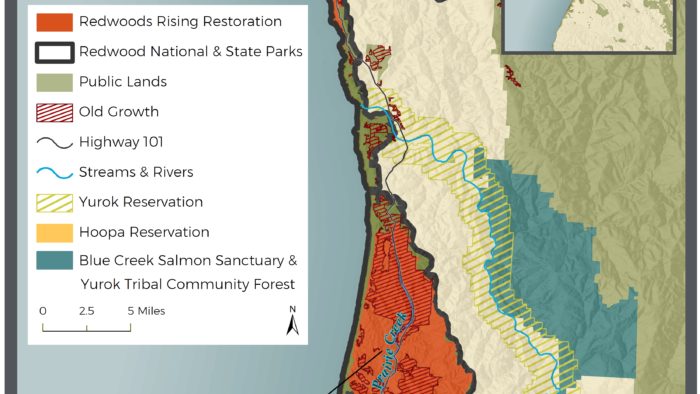Redwoods Rising Project Area Map