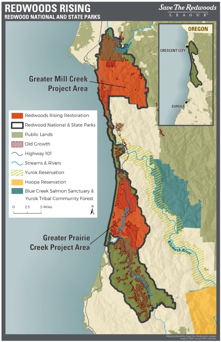 Redwoods Rising Project Area Map