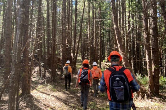 Redwoods Rising Apprenticeship Program