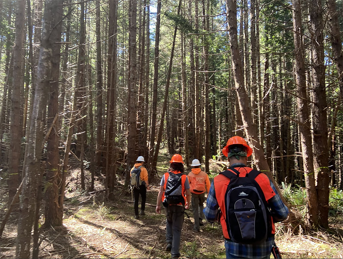 4 apprentices with orange shirts and white and orange hard hats on walking into a forest