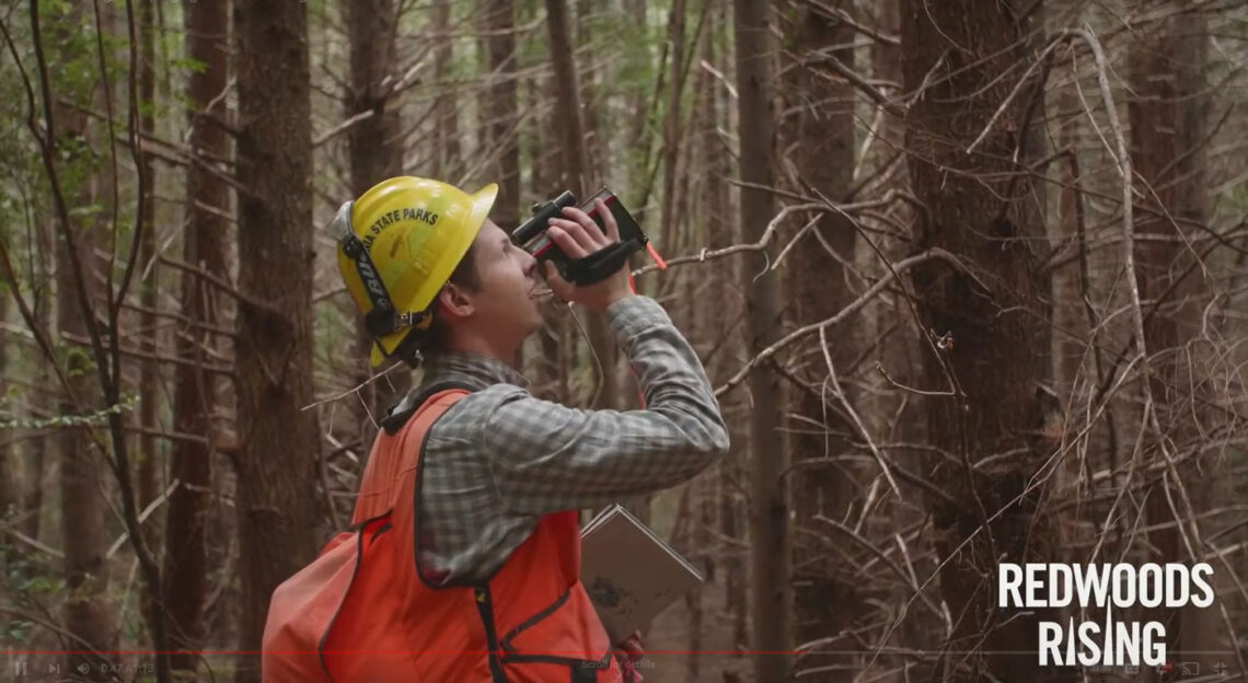 Field researcher wearing yellow hardhat and orange vest