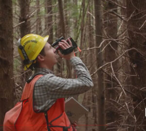 Field researcher wearing yellow hardhat and orange vest