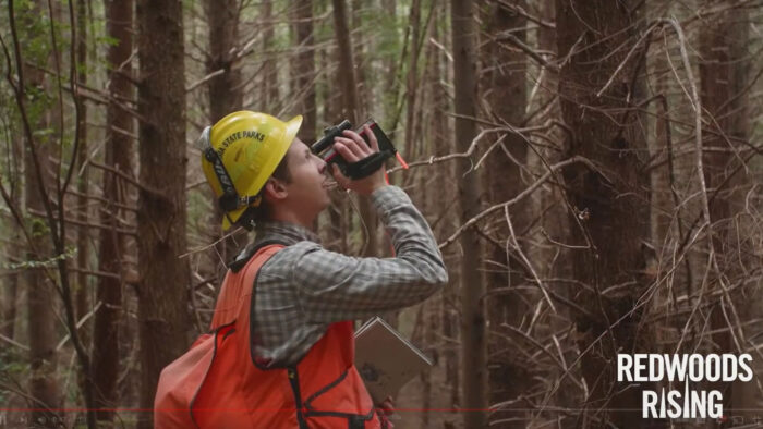 Field researcher wearing yellow hardhat and orange vest