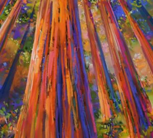 colorful artwork of a redwood forest