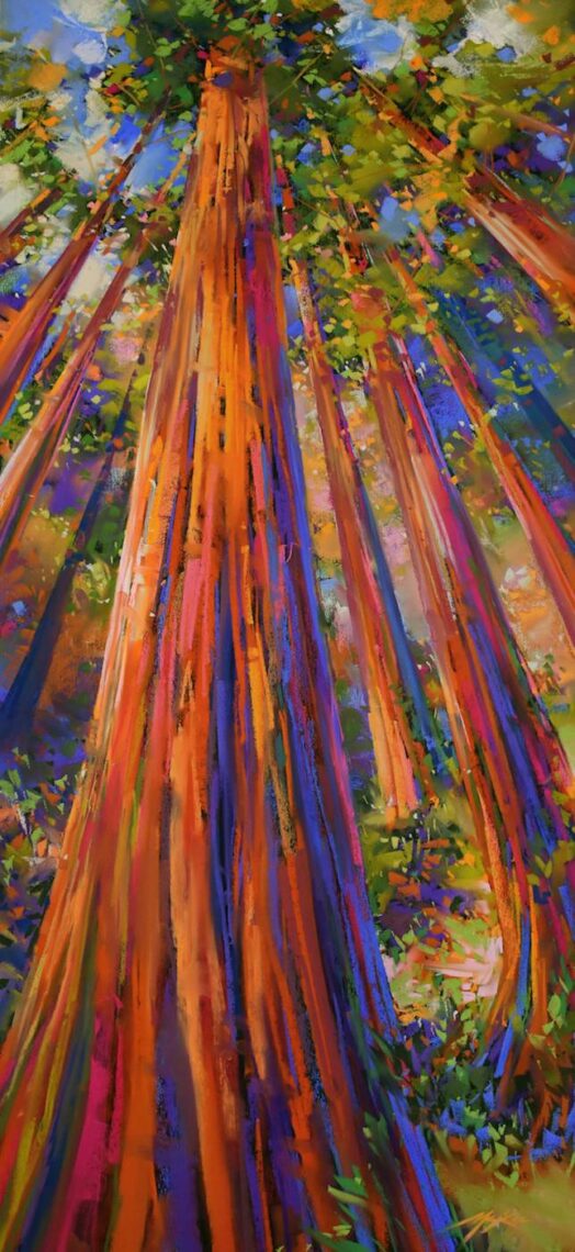 colorful artwork of a redwood forest