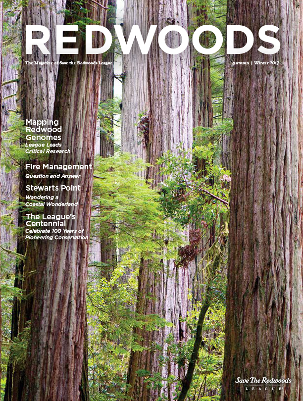 Redwoods Magazine Autumn/Winter 2017