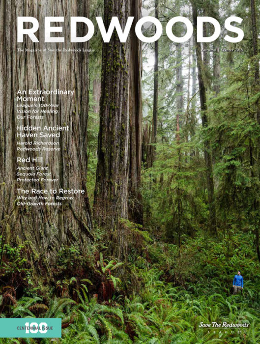 Redwoods Magazine October 2018