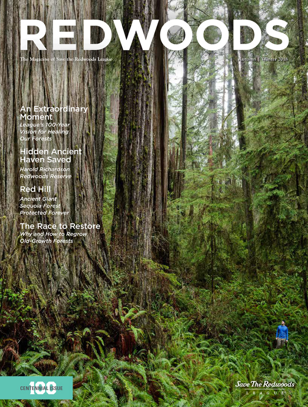 Redwoods Magazine Autumn/Winter 2018