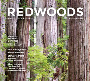 Redwoods Magazine, bi-annual publication of Save the Redwoods League