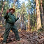 A man in an olive uniform and rangers hat stands in woody debris in a forested area.