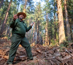 A man in an olive uniform and rangers hat stands in woody debris in a forested area.