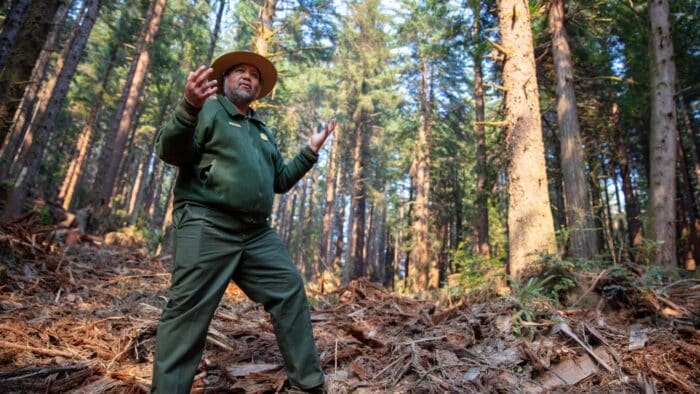 A man in an olive uniform and rangers hat stands in woody debris in a forested area.