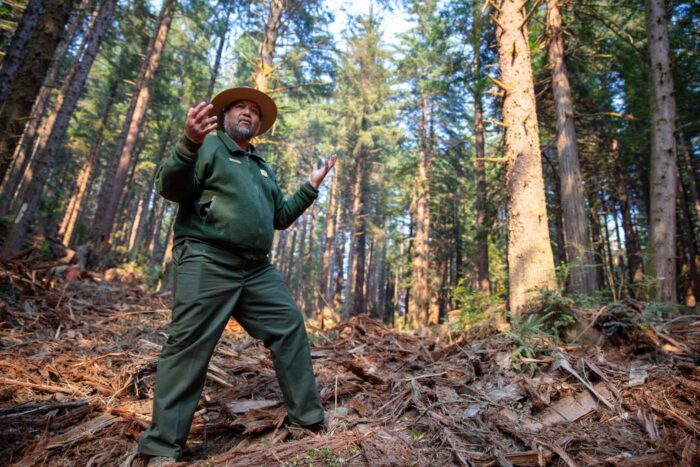 A man in an olive uniform and rangers hat stands in woody debris in a forested area.