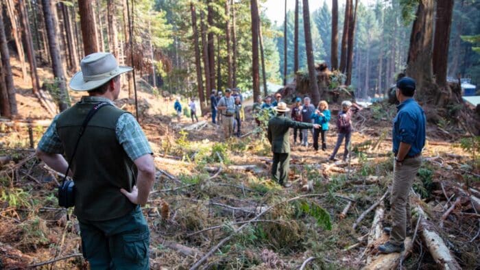 Three men with their backs to the camera leading a larger group of people who are walking into a forest. One of them is a uniformed parks ranger.
