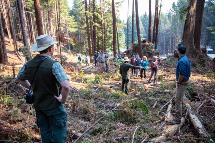Three men with their backs to the camera leading a larger group of people who are walking into a forest. One of them is a uniformed parks ranger.