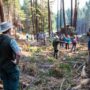 Event participants learn about Redwoods Rising forest restoration from Redwood National and State Parks Superintendent Steve Mietz. Photo by Max Forster, California State Parks.