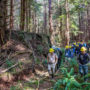 Save the Redwoods League, California State Parks, and National Park Service staff touring a Redwoods Rising restoration site in Redwood National and State Parks. Photo by Max Forster