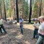 Representatives from Save the Redwoods League and the Sequoia National Forest discussing restoration treatments in Long Meadow Grove. Photo: Ben Blom for Save the Redwoods League